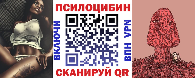мега вход  Качканар  Псилоцибиновые грибы Psilocybine cubensis 